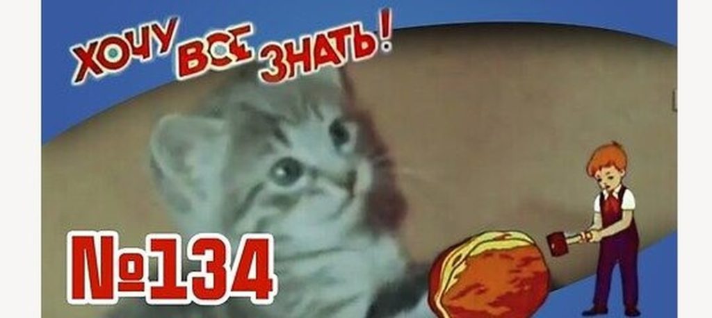 Киножурнал