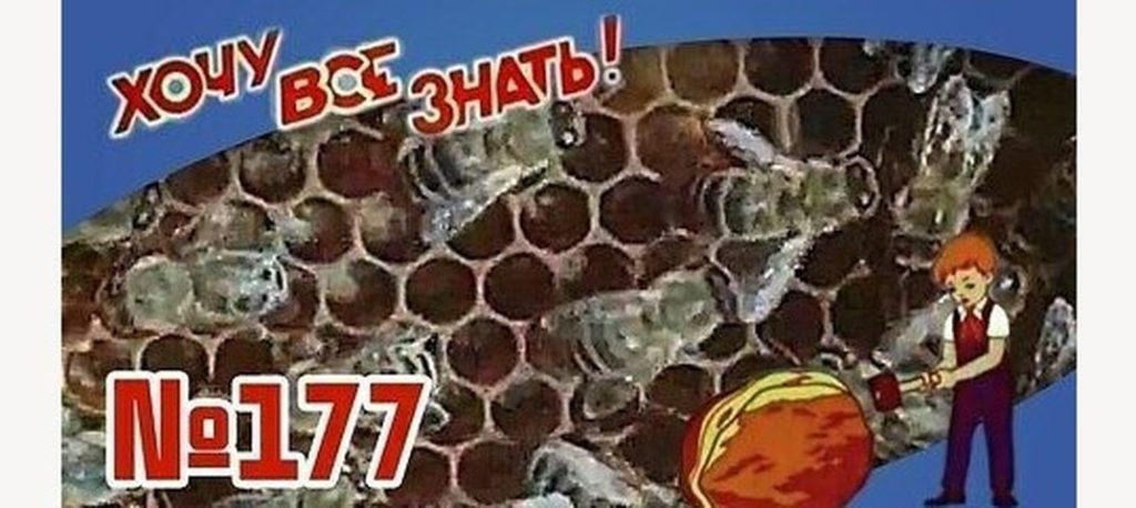 Киножурнал